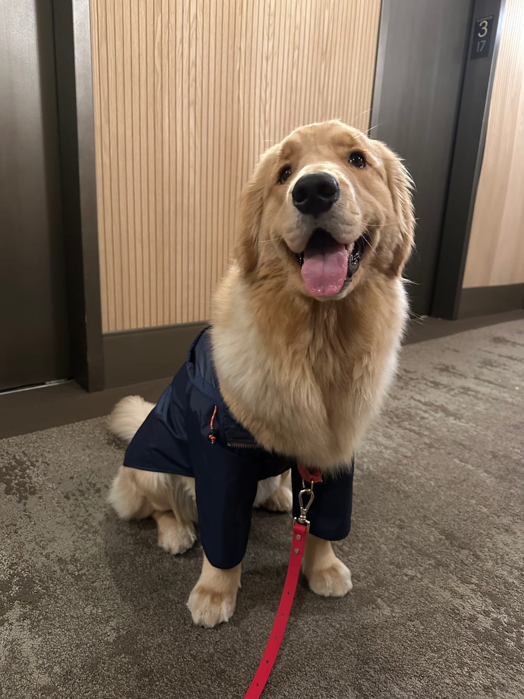 Customer photo review of Nylon Rainbreaker