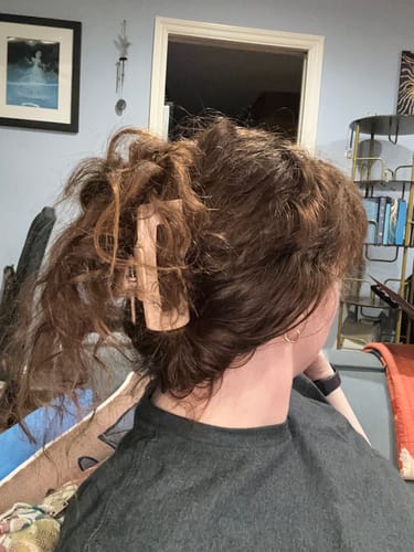 Customer photo review of cloud clip