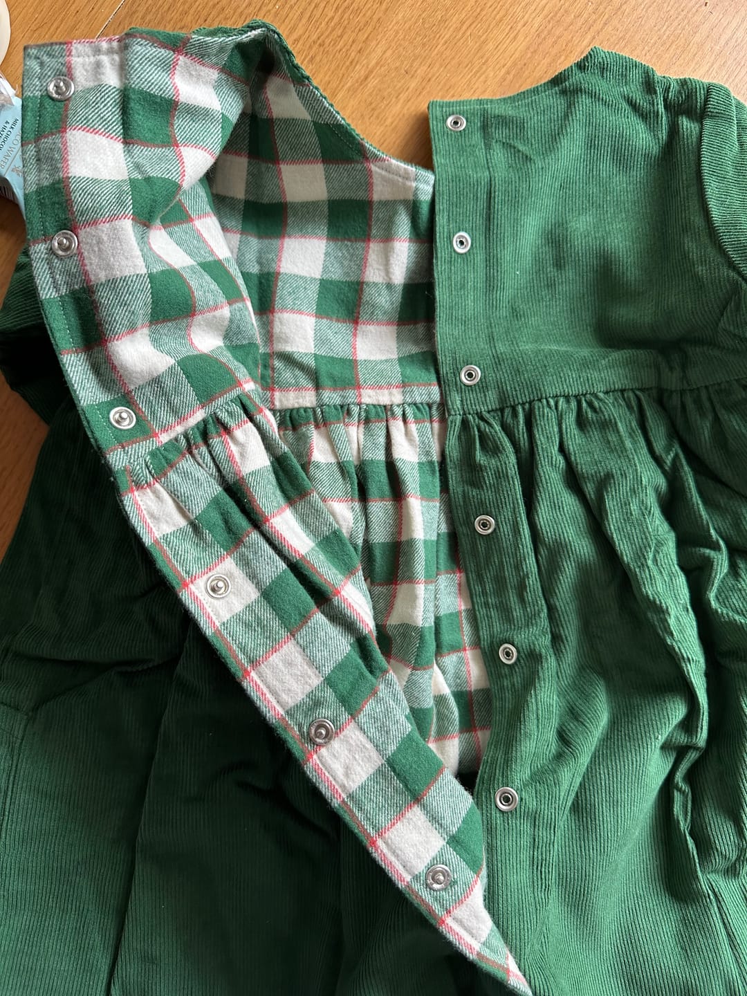 Customer photo review of Vintage Green Reversible Corduroy Pocket Dress
