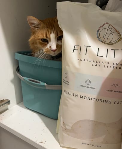 Customer photo review of 3 Month Supply - 1 Cat