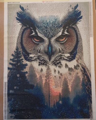 Customer photo review of 5D Diamond Painting – Natur Eule