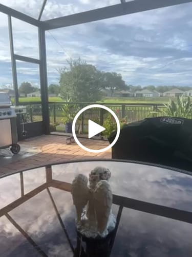 Customer video review of Once In A Blu Moo Bundle