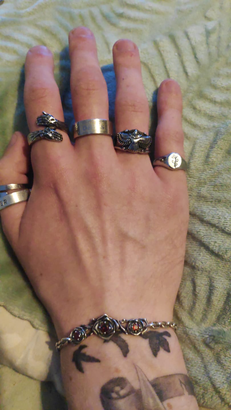 Customer photo review of Free As Bird.
