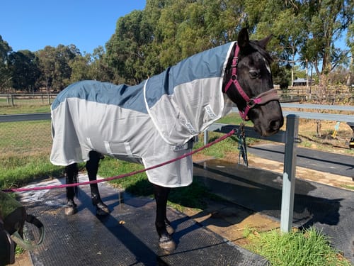 Rachel R. review of AmEco Combi image 1 out of 1