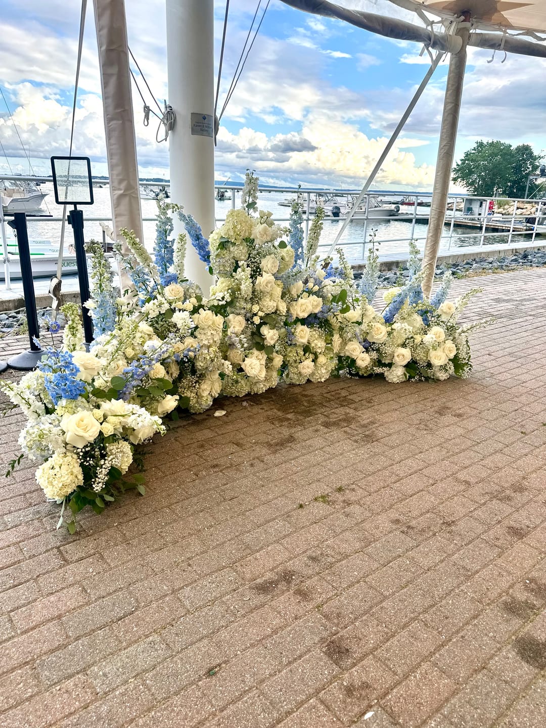 Customer photo review of Light Blue Delphinium