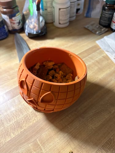 Customer photo review of FreezPumpkin Limited Halloween Edition Dog Toy