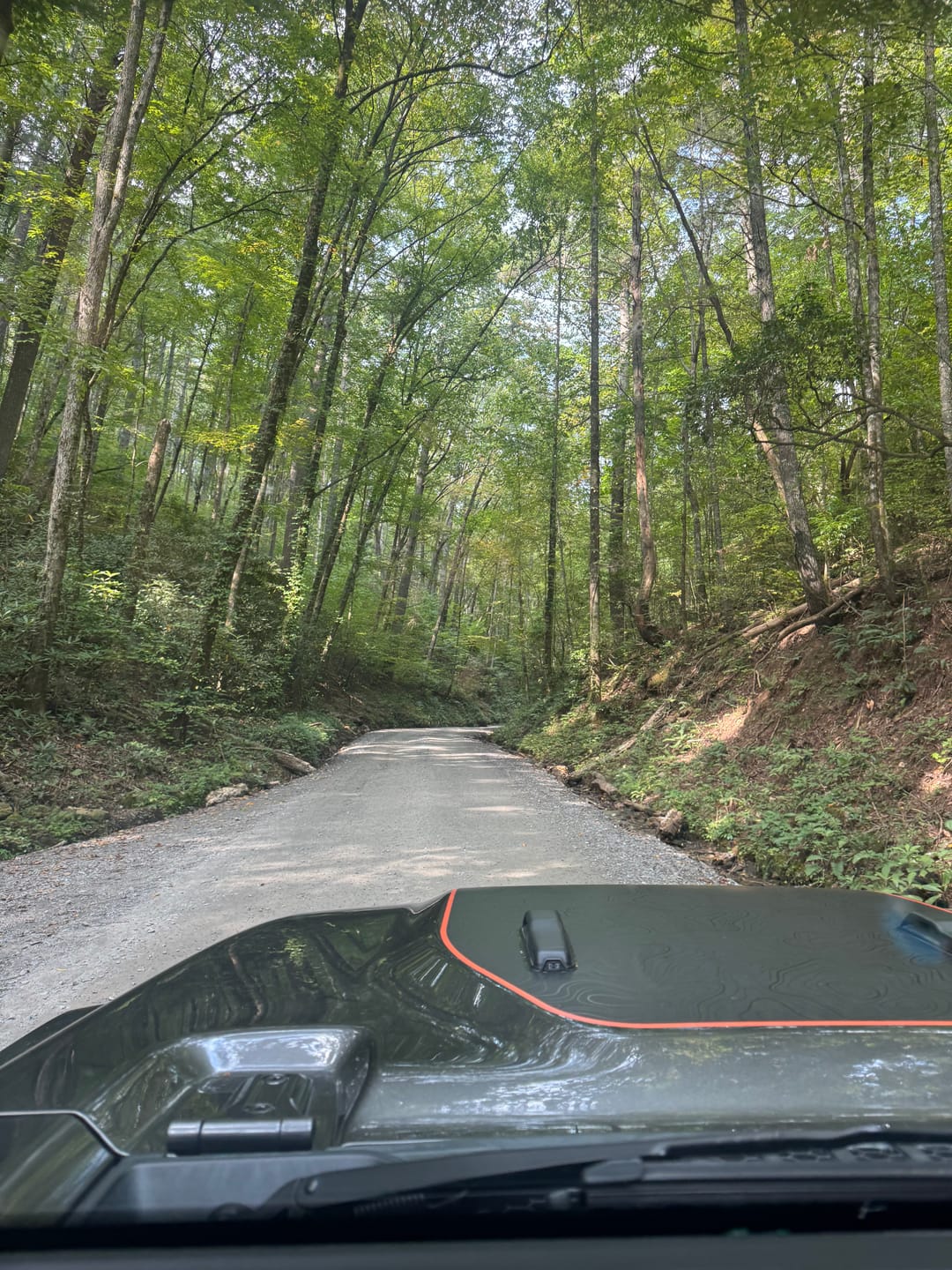 Customer photo review of Hood Graphic for Gladiator MOJAVE