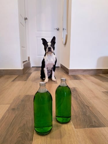 Customer photo review of Líquido para trapear PISOS