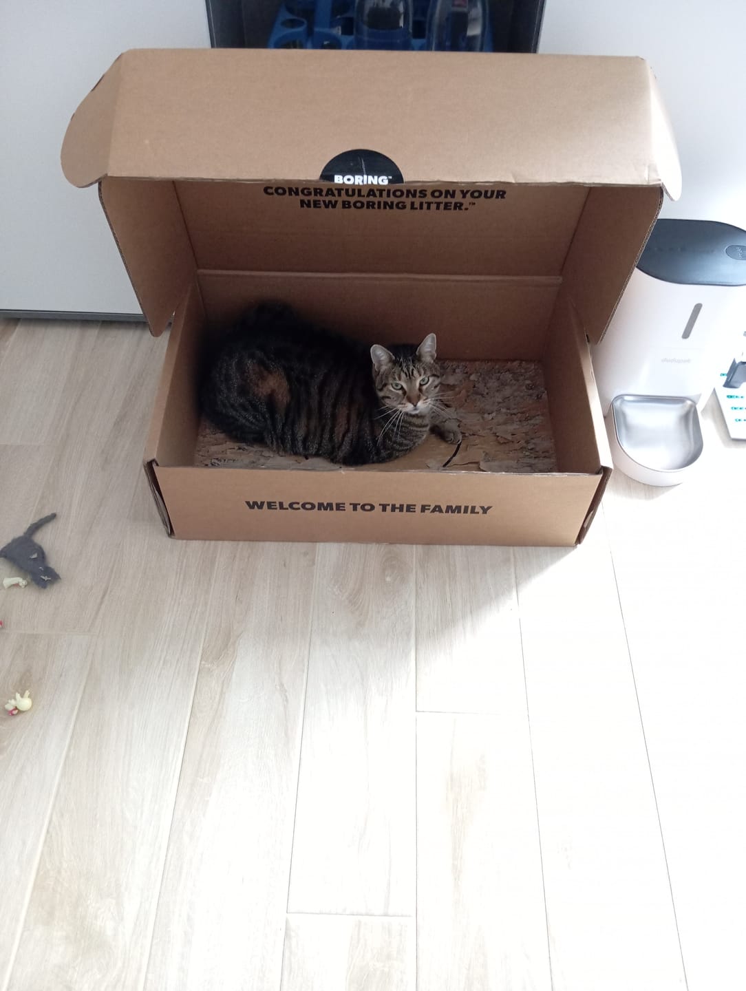 Customer photo review of BORING LITTER - Lettiera in Acciaio INOX