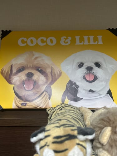 Customer photo review of Petcanva©オーダーメイド ペット似顔絵