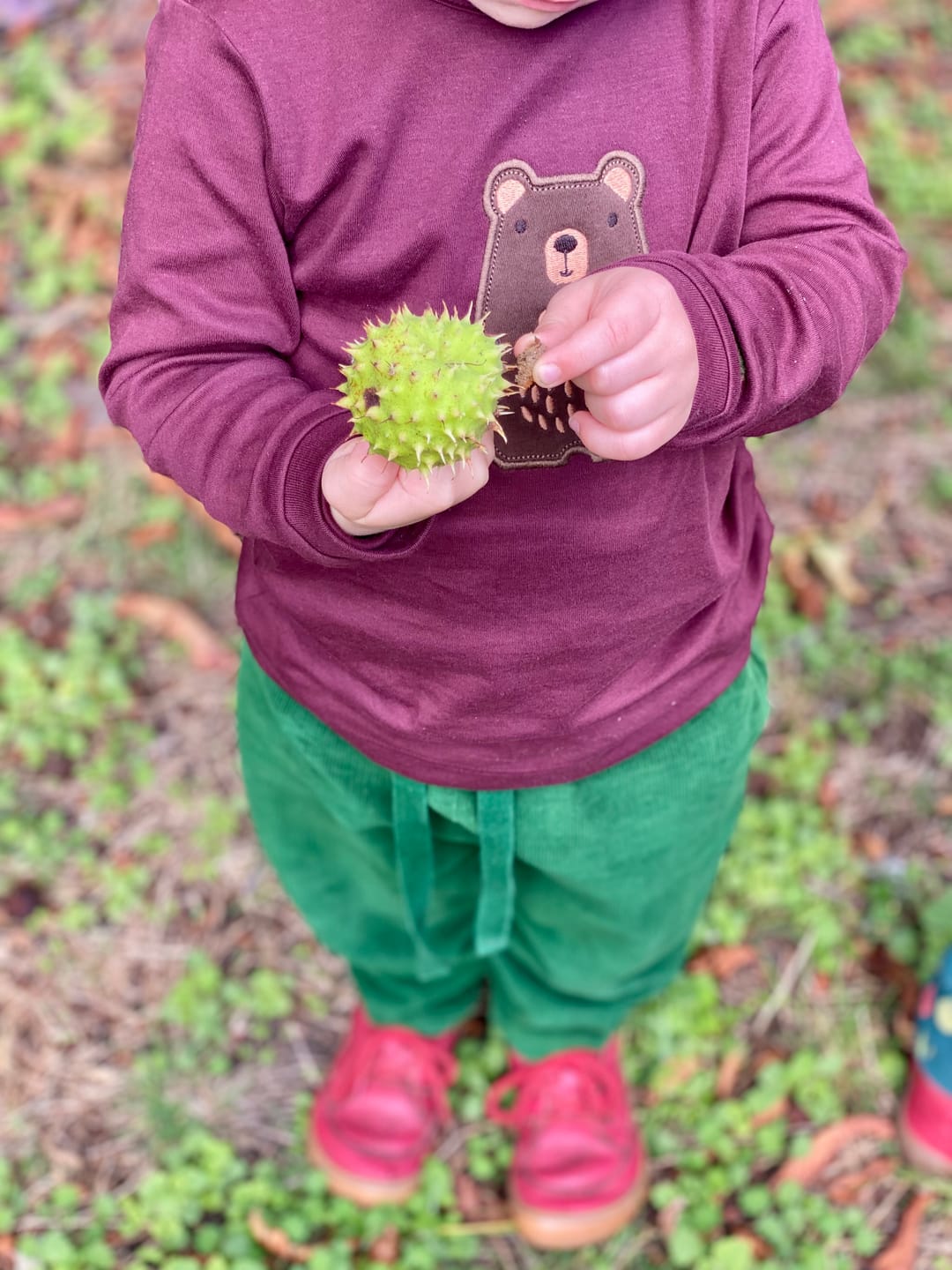 Customer photo review of Teddy Bear Applique Long Sleeve T-Shirt