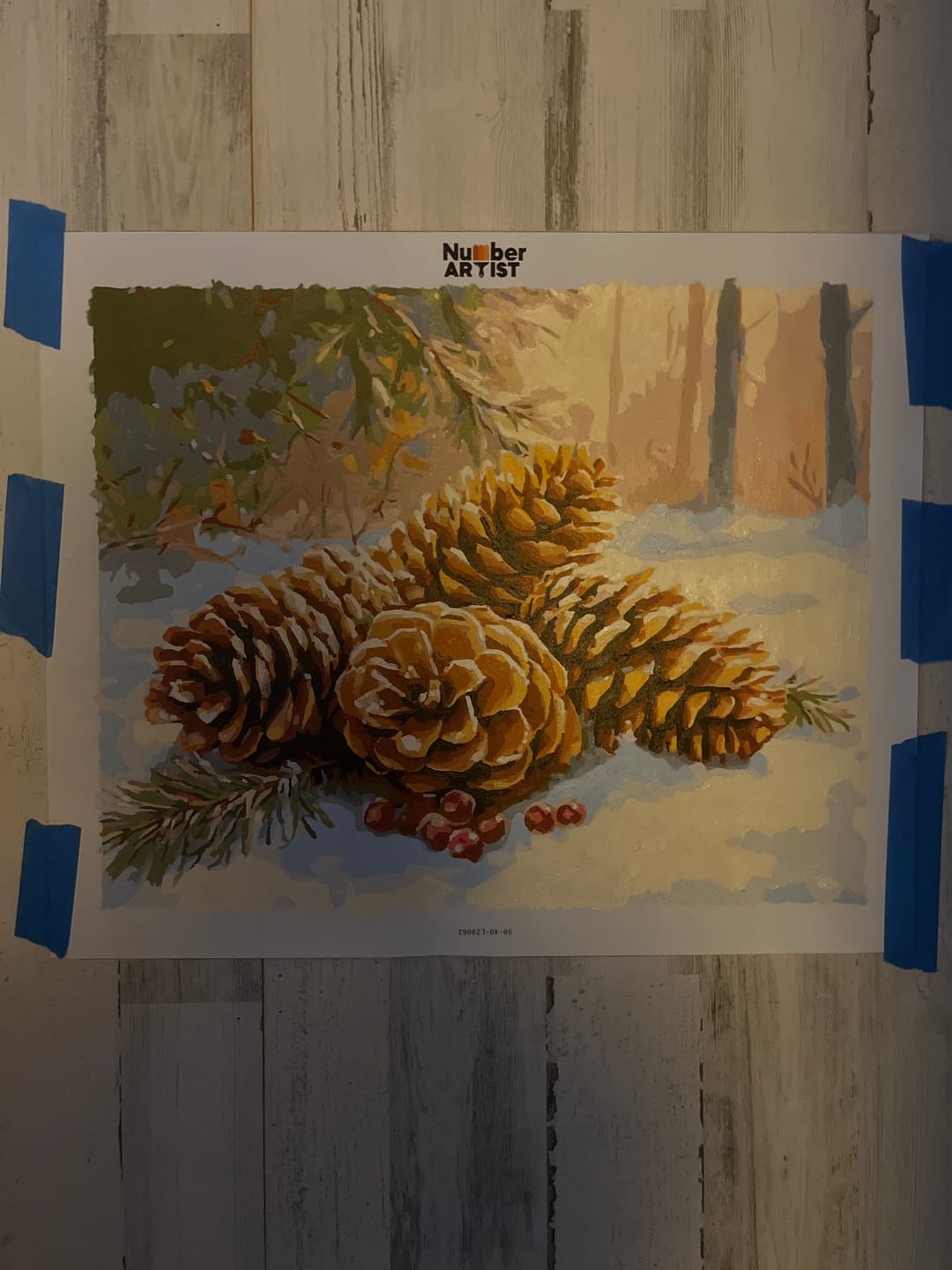 Customer photo review of Winter Pinecones