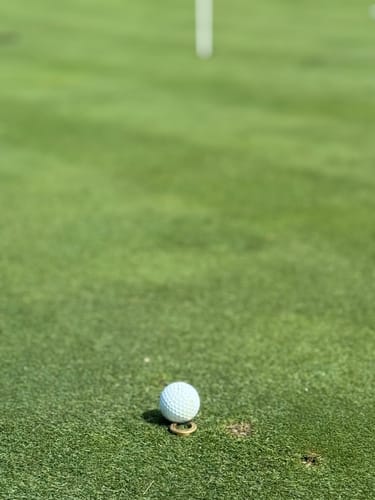 Customer photo review of 🍀 PLAY BOLD LUCKY HORSESHOE MARKER