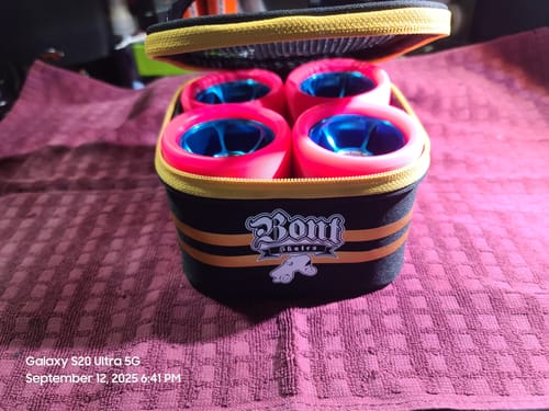 Customer photo review of Roller Skate Wheel Bag