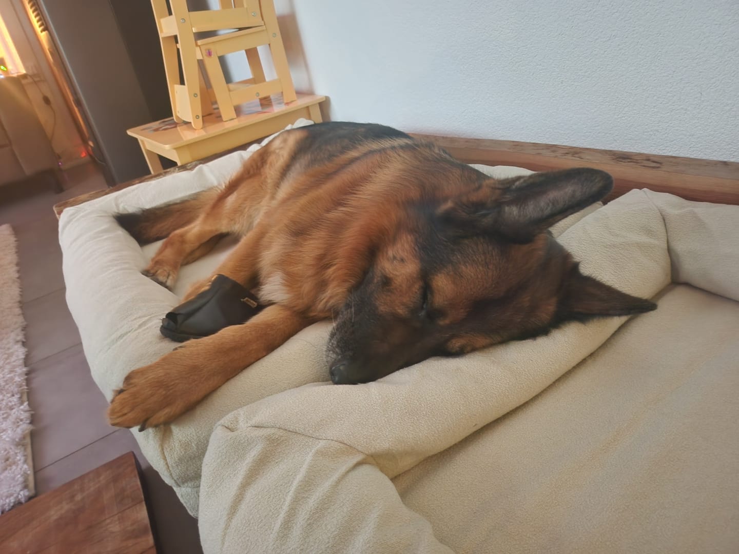 Customer photo review of Pet Perfect Hondenmand - Orthopedisch - Afritsbaar - Beige