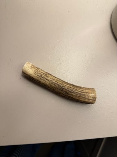 Customer photo review of Taki tyggepinde af kronhjortegevir