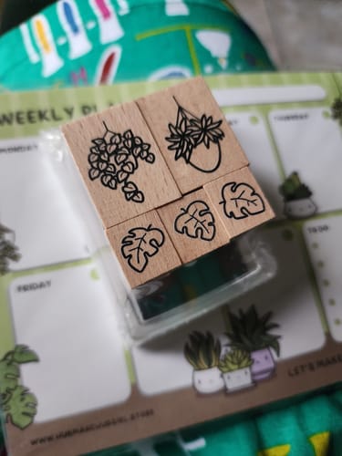 Customer photo review of (Pre-Order) Plant Shop Advent Calendar