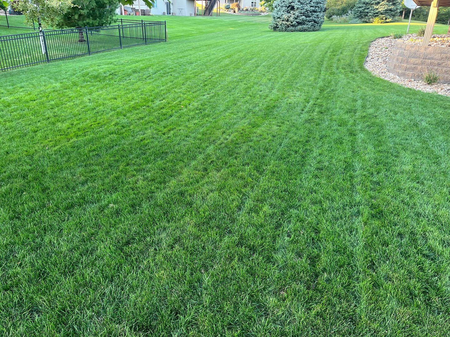 Customer photo review of CarbonizPN®-G Granular Soil Enhancer