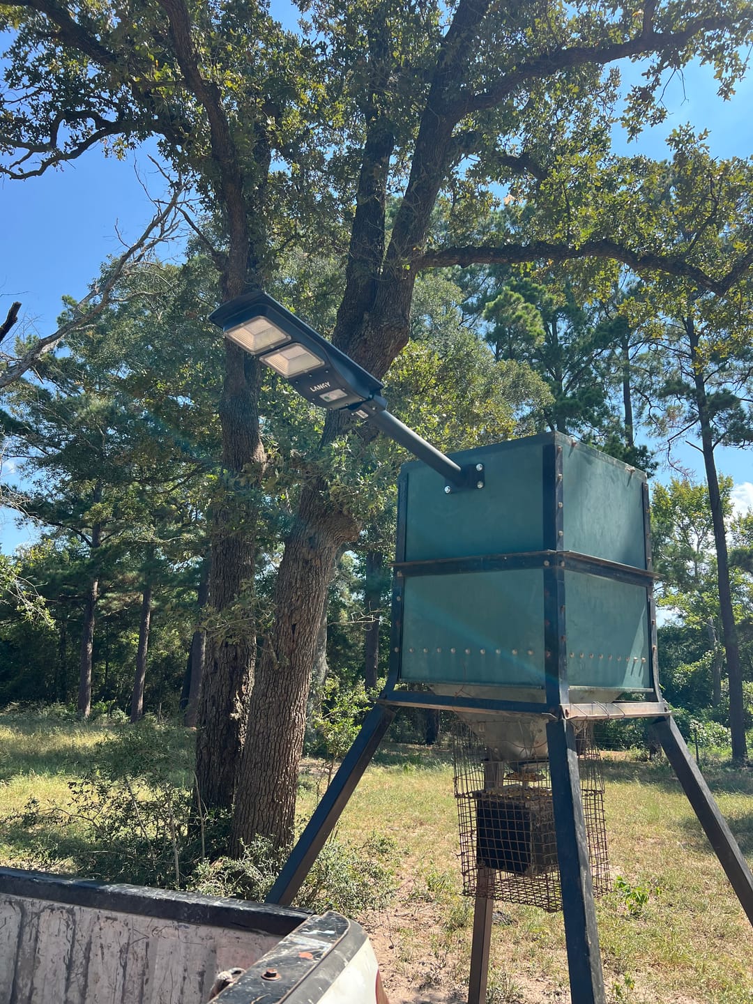Customer photo review of Solar Green Feeder Light for Hunting -10,000 lumens
