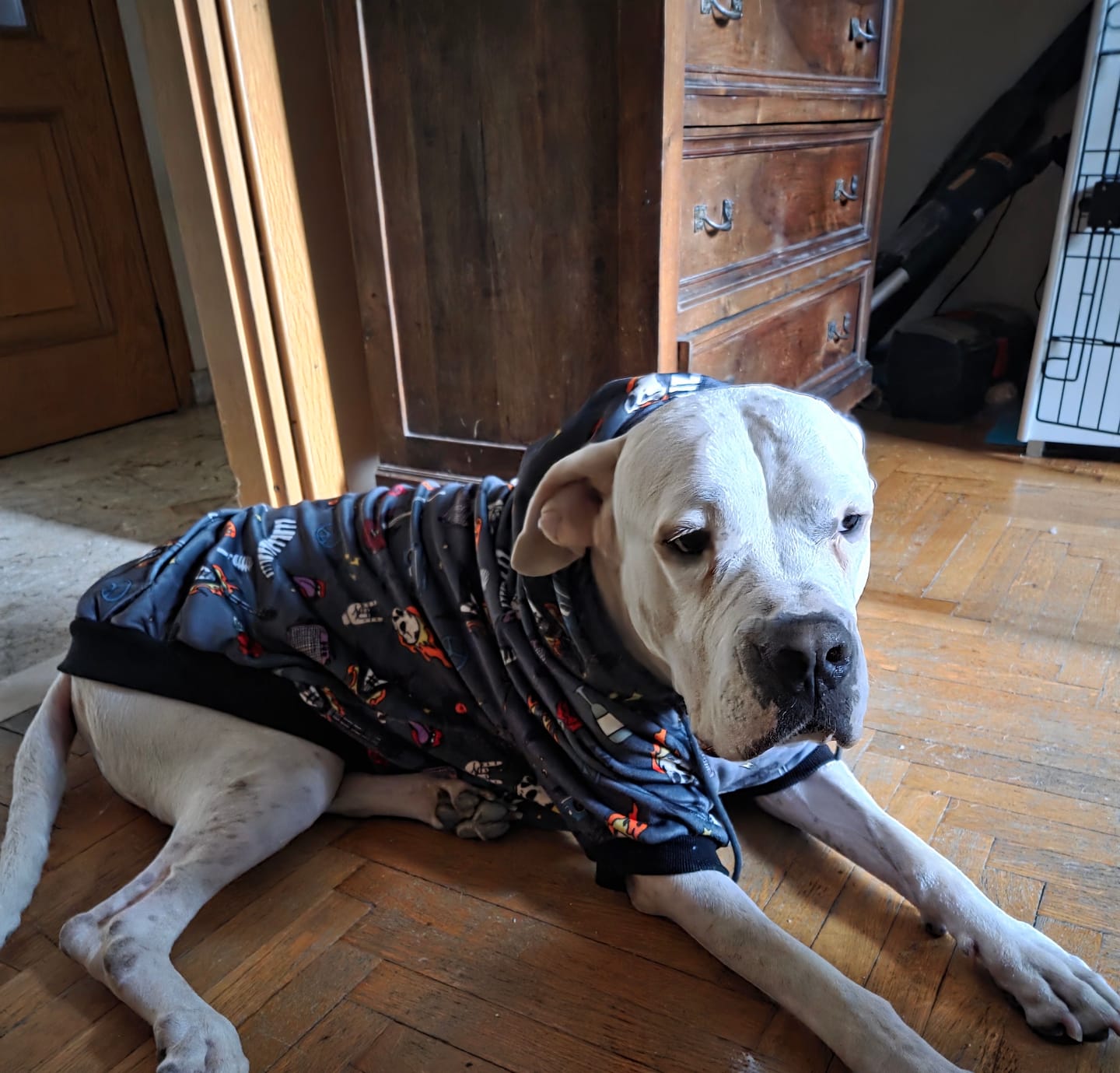 Customer photo review of Rock and Roll Human Hoodie