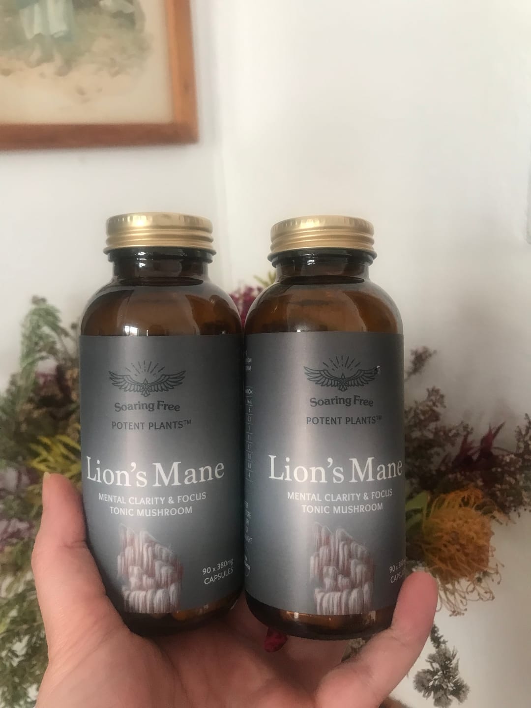 Customer photo review of Organic Lion's Mane (Powder & Capsules)