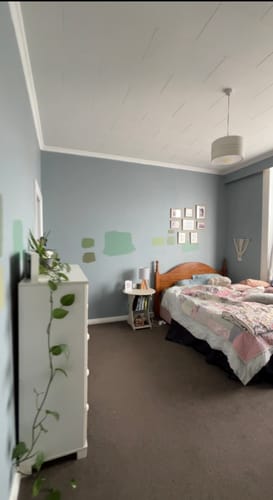 Customer photo review of Calvert Meadows Wallpaper - Pink/Cream