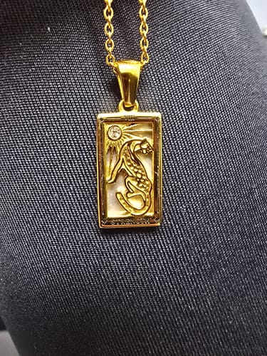 Customer photo review of Strength - Tarot card Dainty 18k Necklace with Silver Enamel