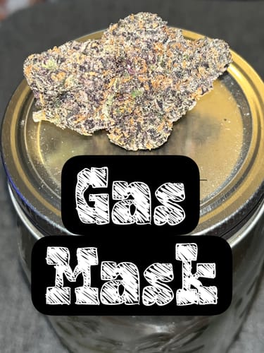 Customer photo review of Dealer's Choice