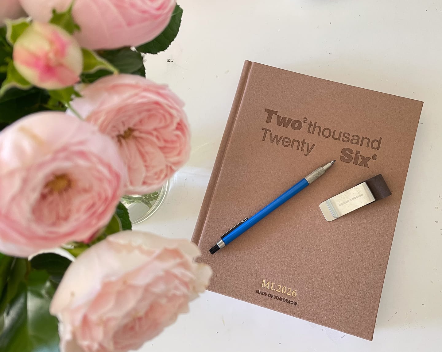 Customer photo review of 2026 Grand Daily Diary - Classic