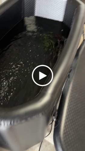 Customer video review of Triumph Tank