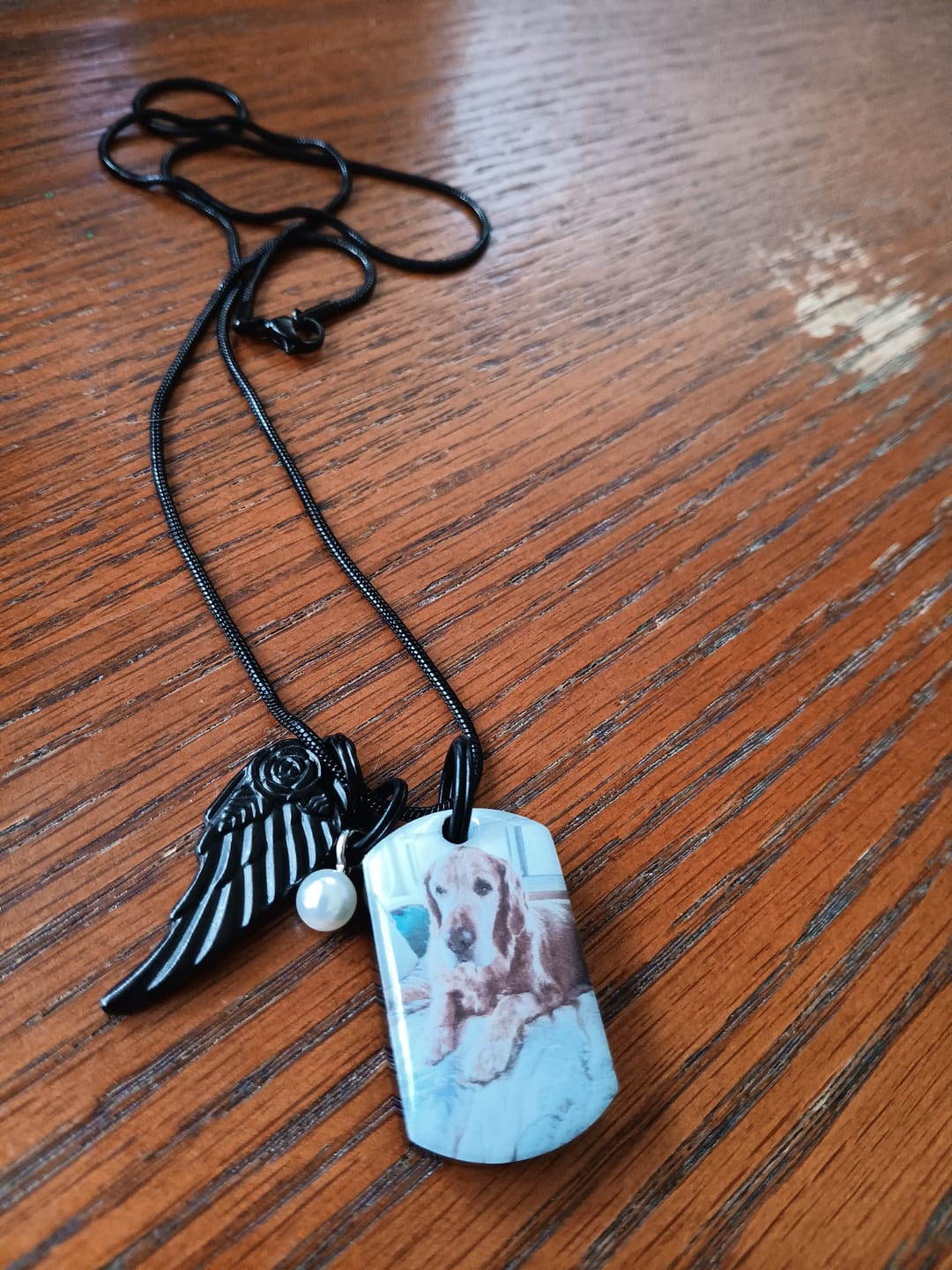 Customer photo review of Personalized Photo Urn Necklace for Pet