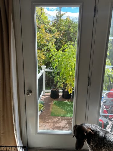 Customer photo review of Clear 1 Lite Glass and Frame Kit (Full Lite)