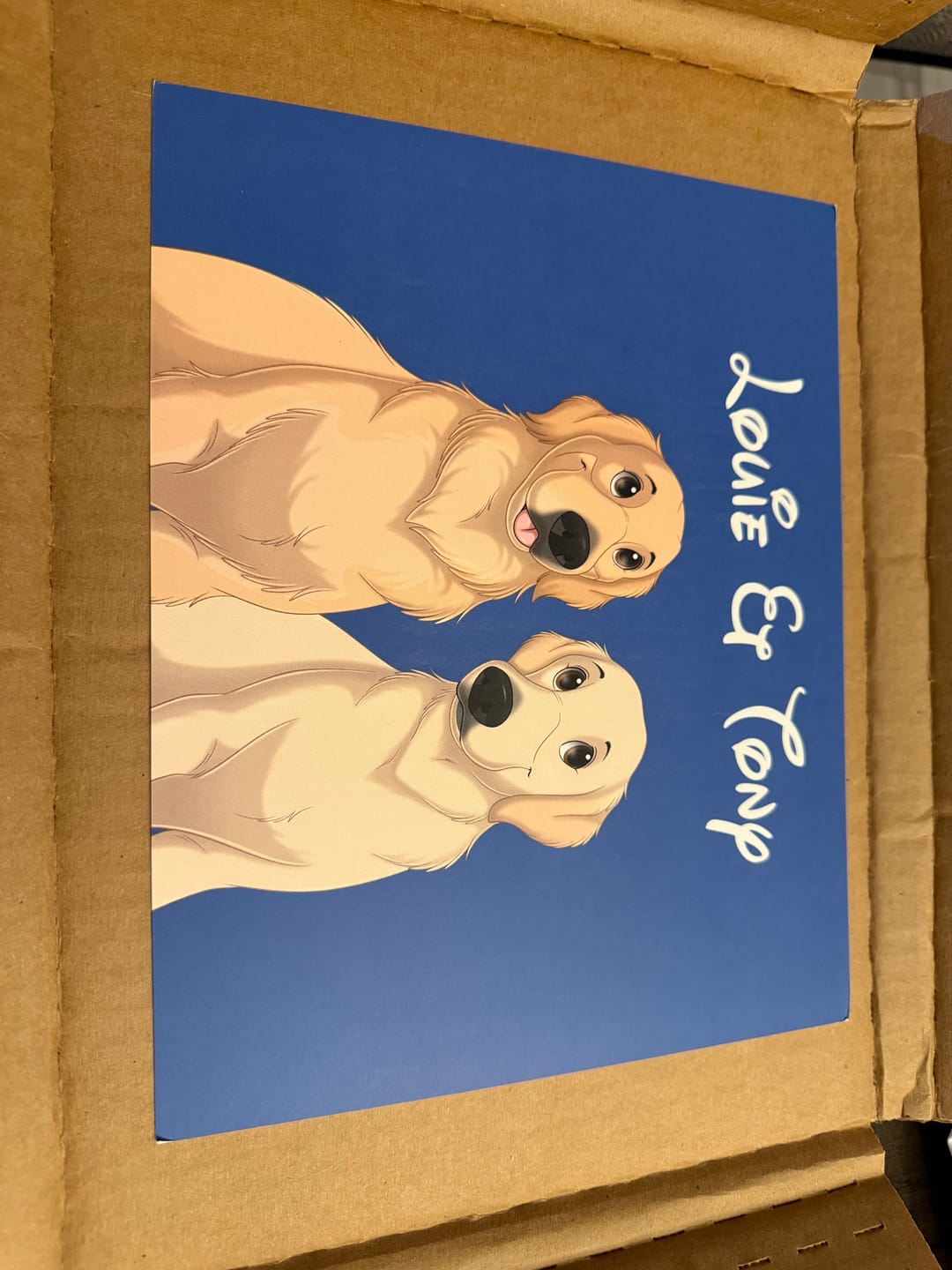 Customer photo review of Custom Hand-Drawn Cartoon Pet Portrait