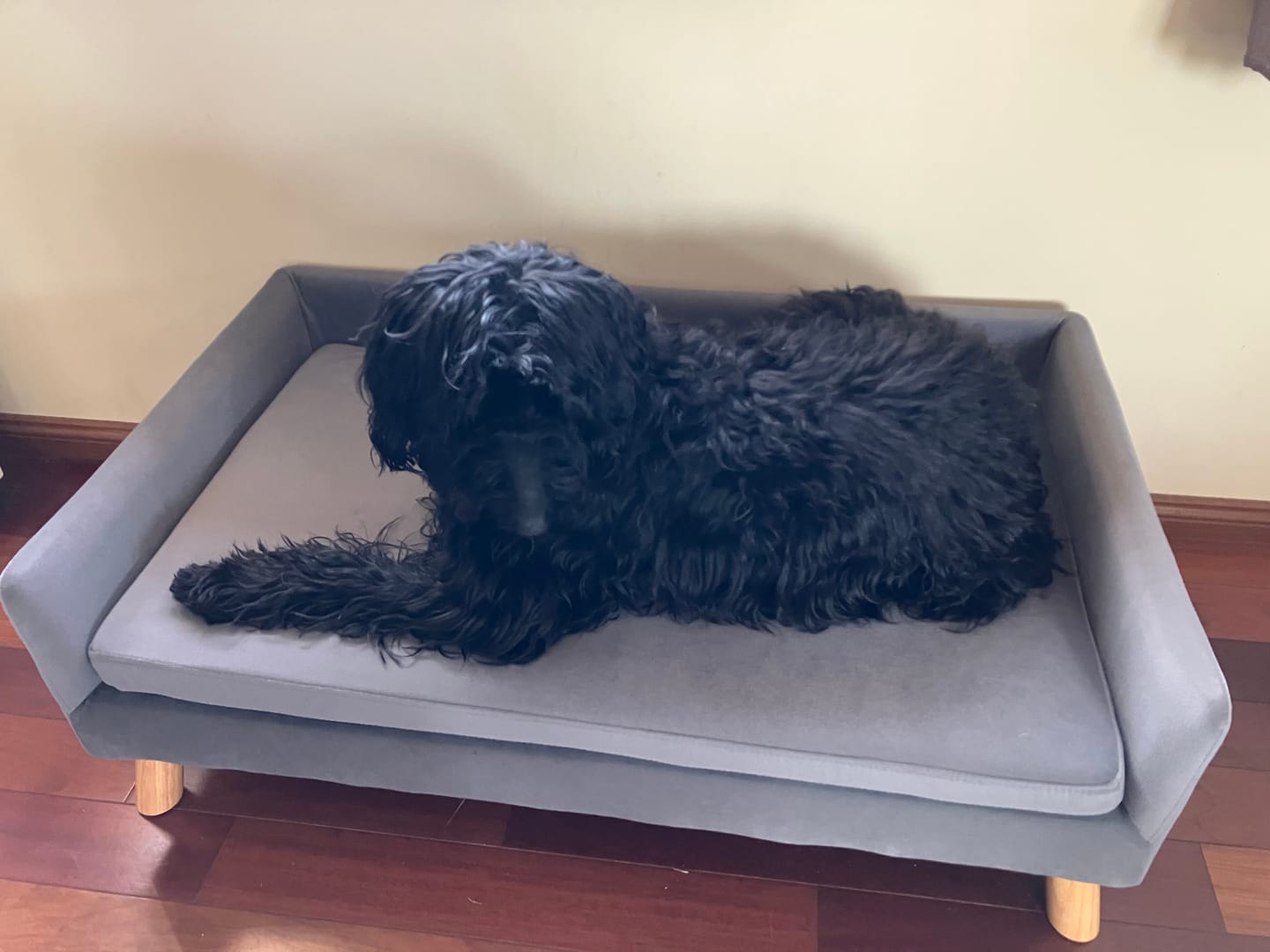 Customer photo review of Dog Sofa Bed Pet Lounge Couch
