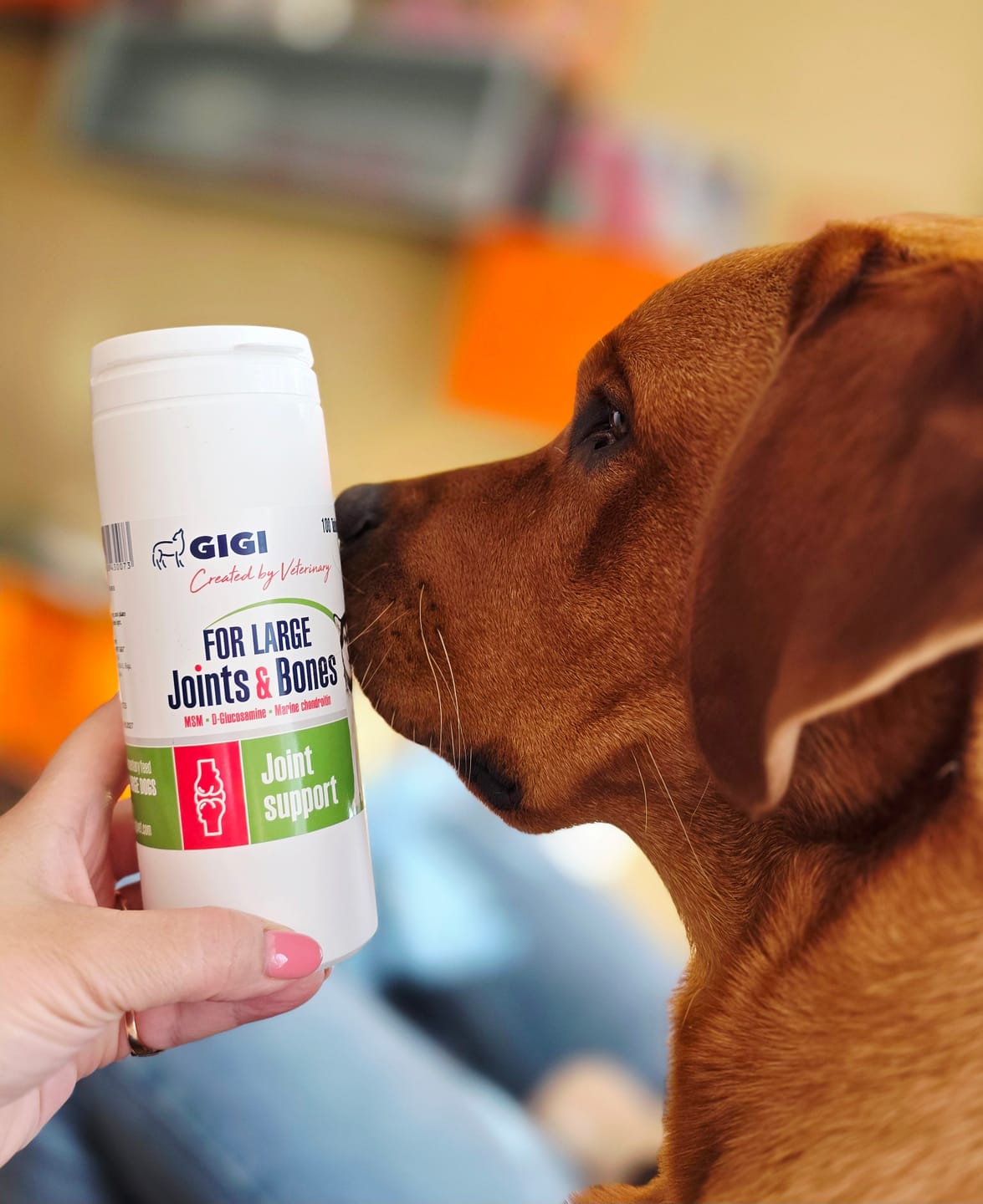 Customer photo review of For Large Joints & Bones | Dog Supplement for Large Dogs