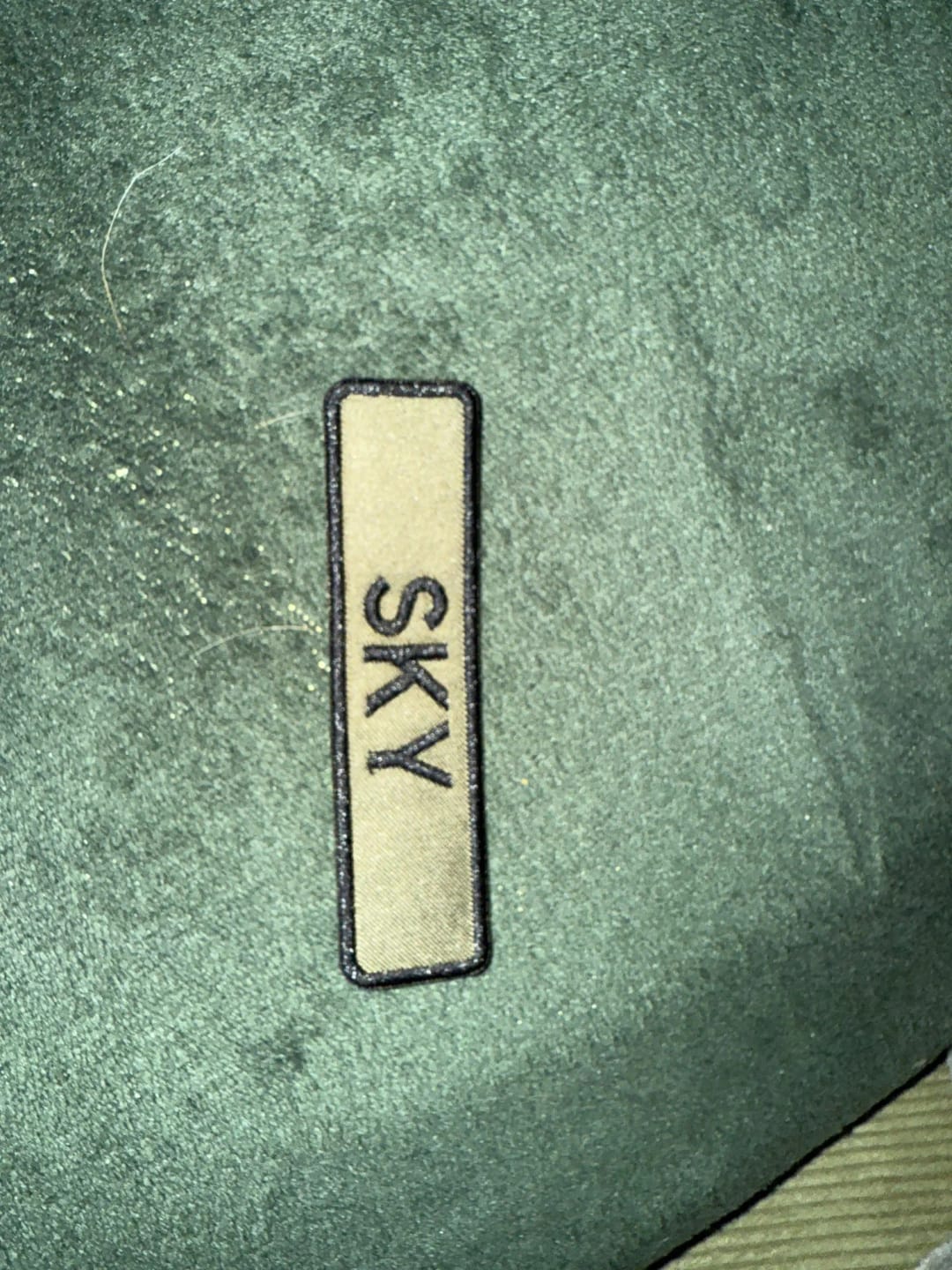 Customer photo review of Velcro for Dog Harness: Personalized Name Patch