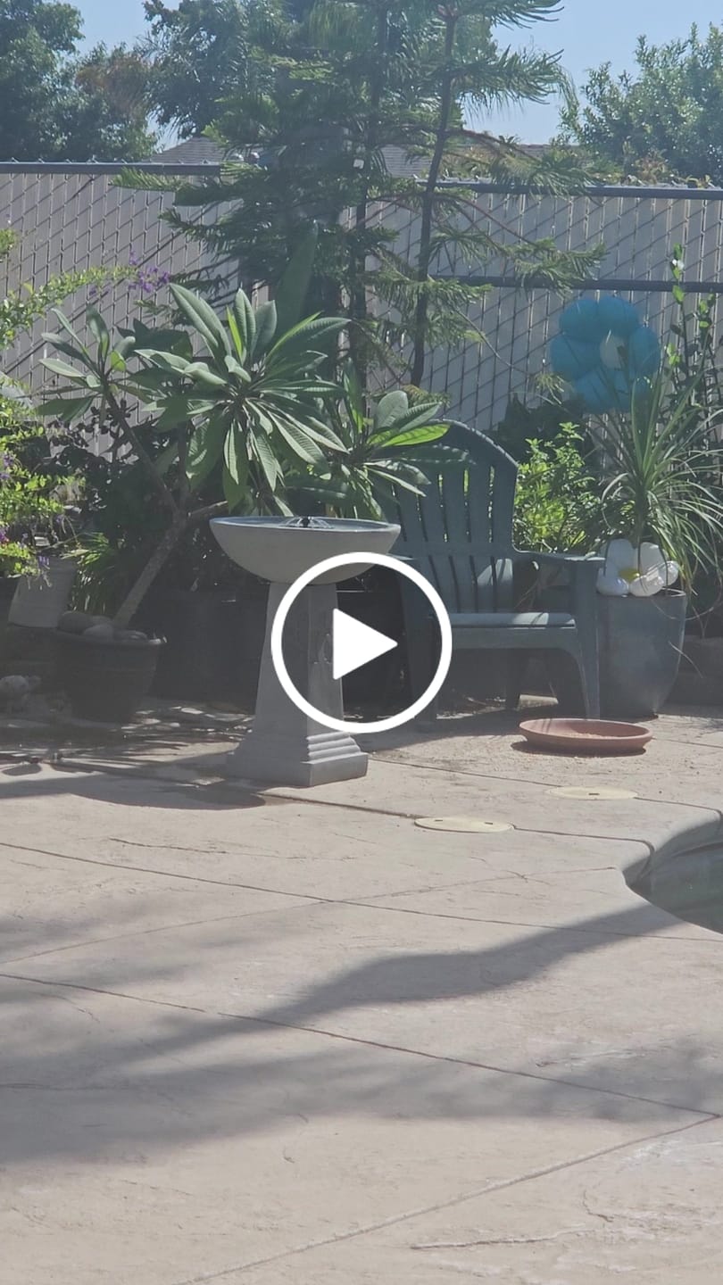 Customer video review of Ginko Tall Solar Bird Bath
