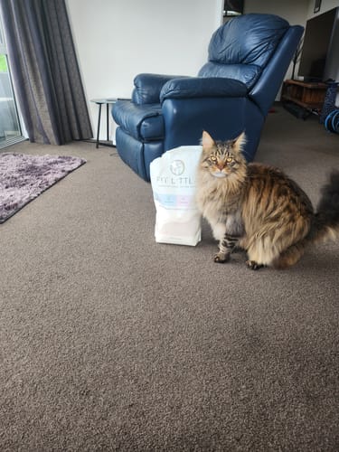 Customer photo review of Fit Litter