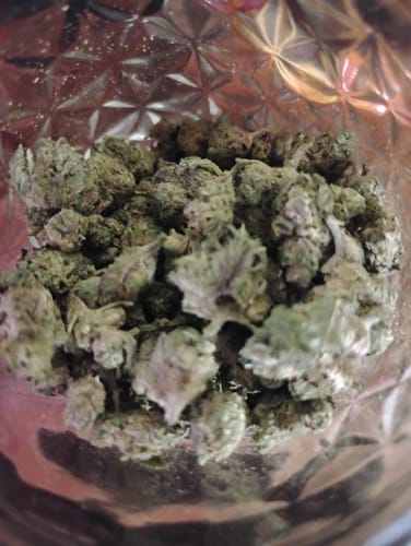 Customer photo review of Donny Burger THCA Flower Smalls