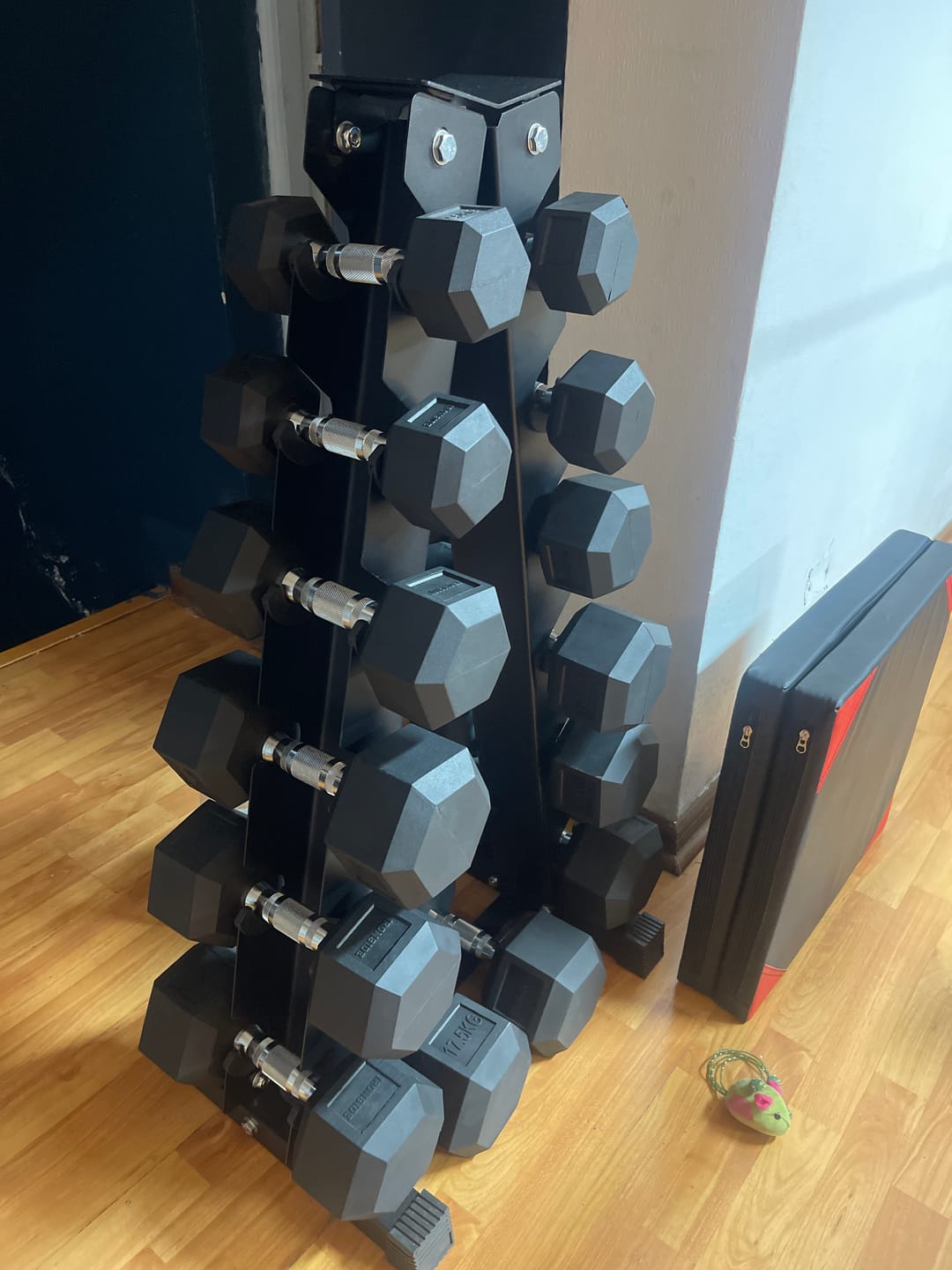 Customer photo review of Pack IRONSIDE Mancuernas Hexagonales (KG) + Rack de Almacenamiento