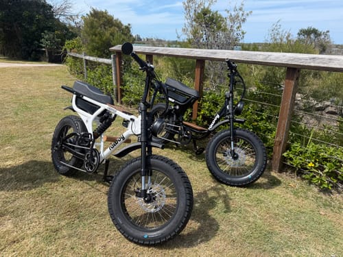 Customer photo review of The Harlem eBike