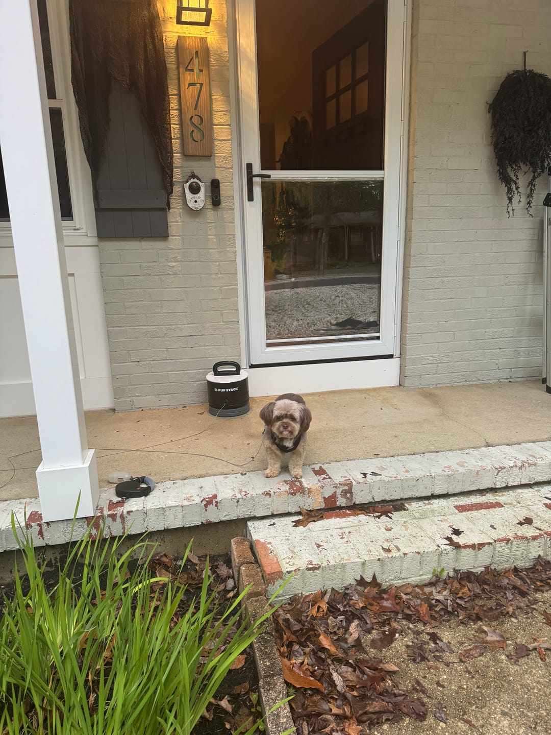 Customer photo review of Pup Stack