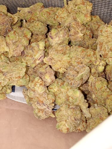 Customer photo review of Orange Crush