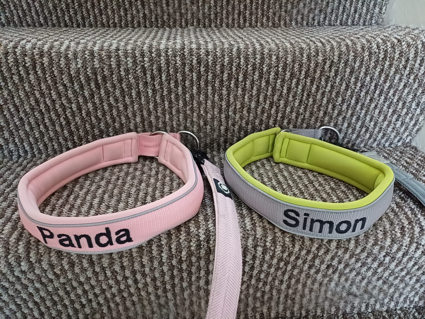 Customer photo review of 5cm Slip on Collar | Foam Padded - Pink