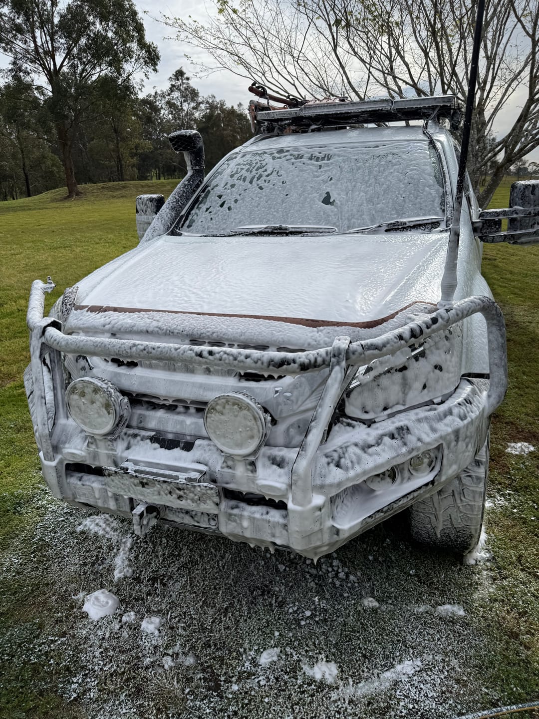 Customer photo review of Foam Cannon