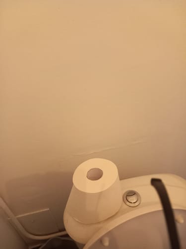 Customer photo review of 100% Bamboo Toilet Paper - 4 ply - 30 meters
