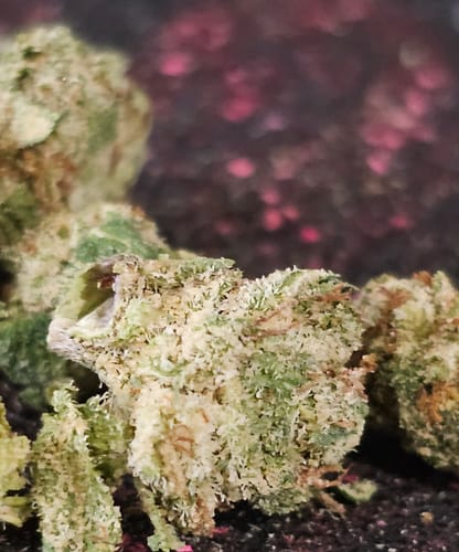 Customer photo review of Super Lemon Haze  - 14 Grams - Sativa