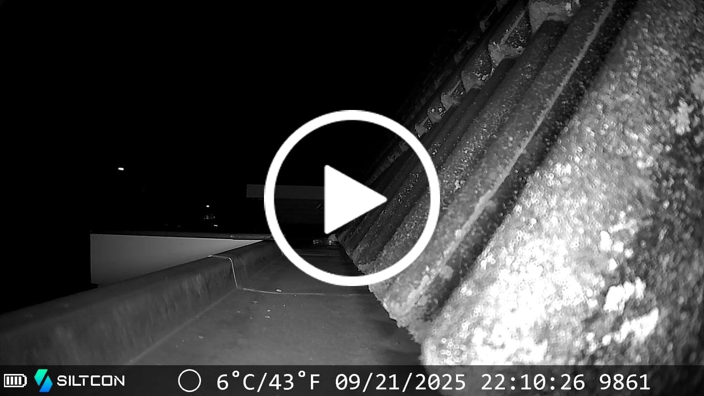 Customer video review of Siltcon® Wildcamera Nachtzicht en wifi 4K