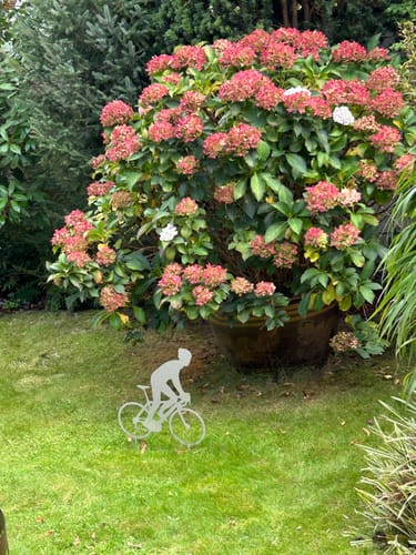 Customer photo review of Gartenstecker Radfahrer