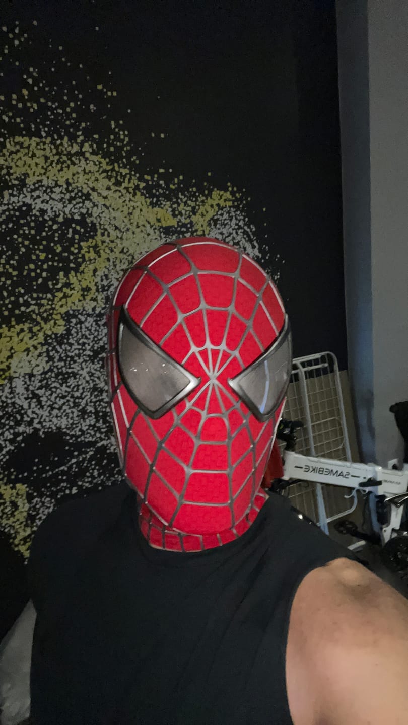 Customer photo review of Tobey Maguire Spider-Man Life Size Wearable Mask